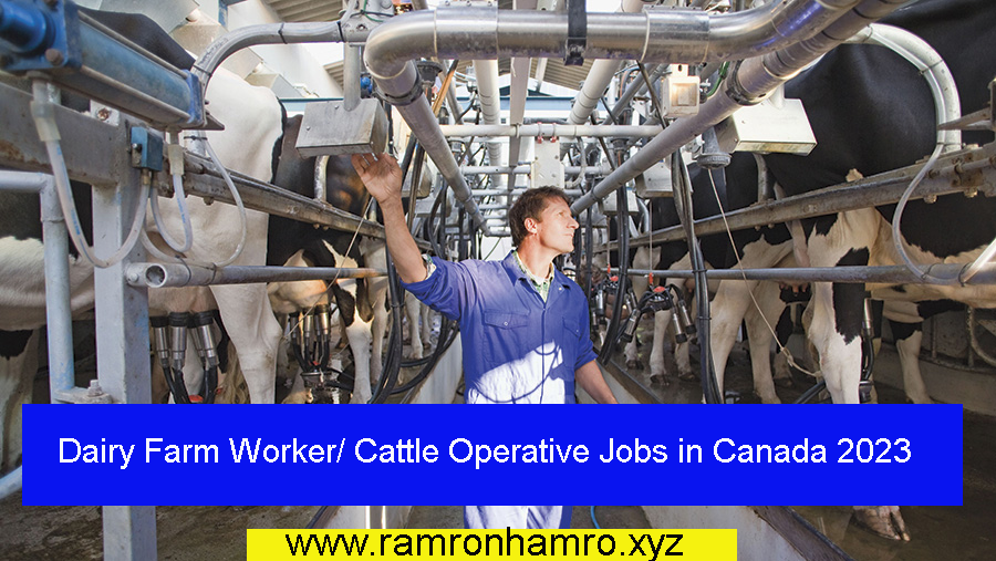 Dairy Farm Worker